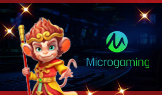 Micro Gaming