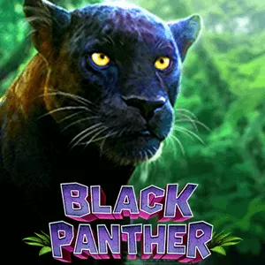 black panther