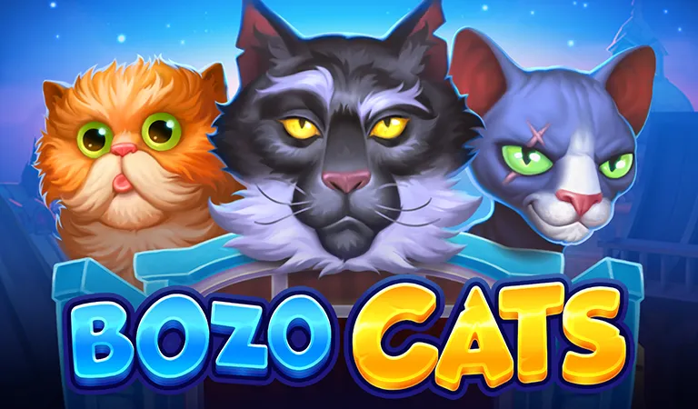 bozo cats